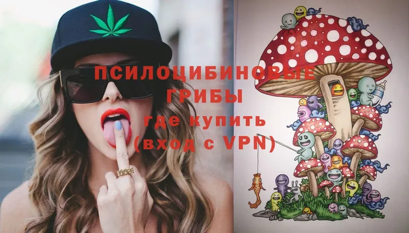 Псилоцибиновые грибы Magic Shrooms  наркота  Лесозаводск 